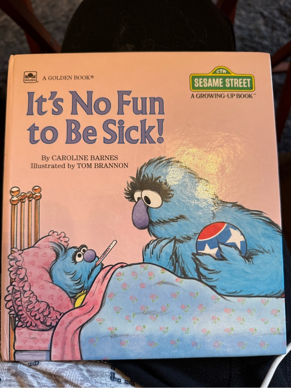 Sesame Street Pink Cover with Blue Monster Characters hardcover Book